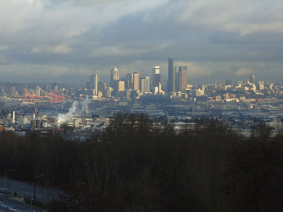 City Scape, Seattle, Skyline, Washington, cityscape, pacific northwest, HD wallpaper