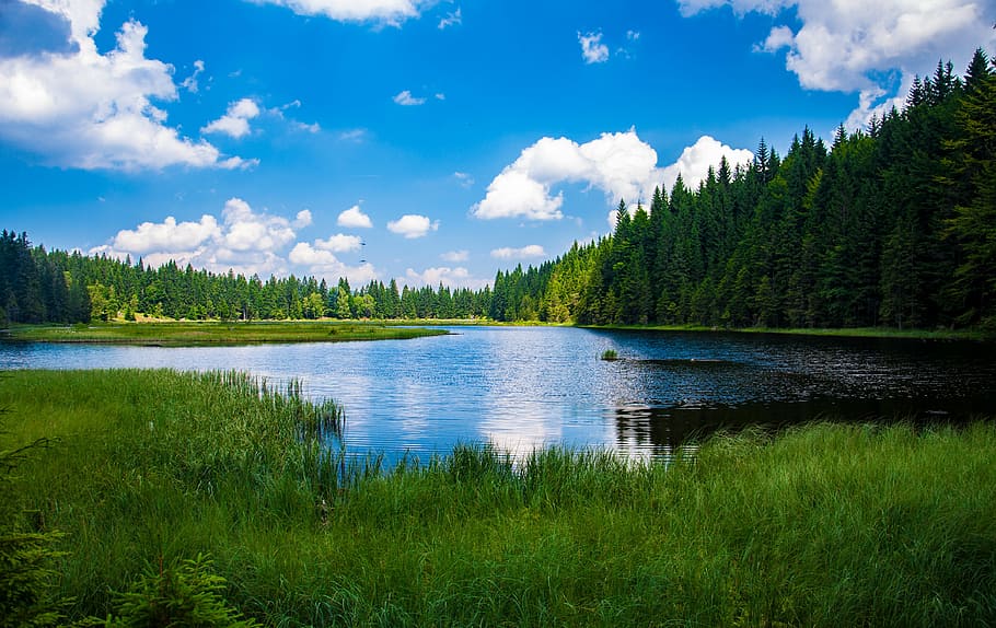 photo of lake taken during daytime, bavarian forest, alpsee, clouds