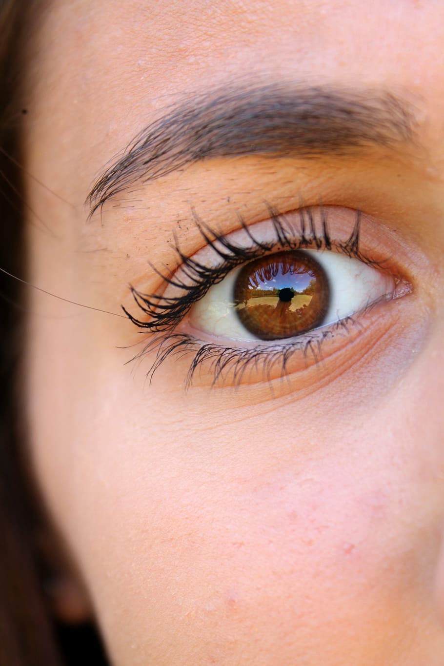 close-up photo of human eye, eyelashes, eyebrows, face, woman HD wallpaper
