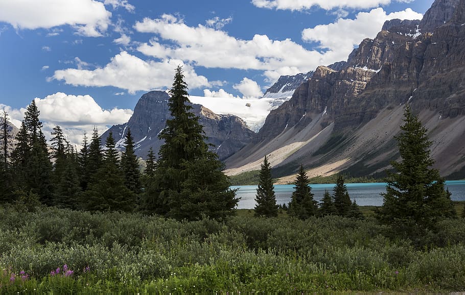 Scenic View at the Banff National Park, clouds, conifers, environment HD wallpaper
