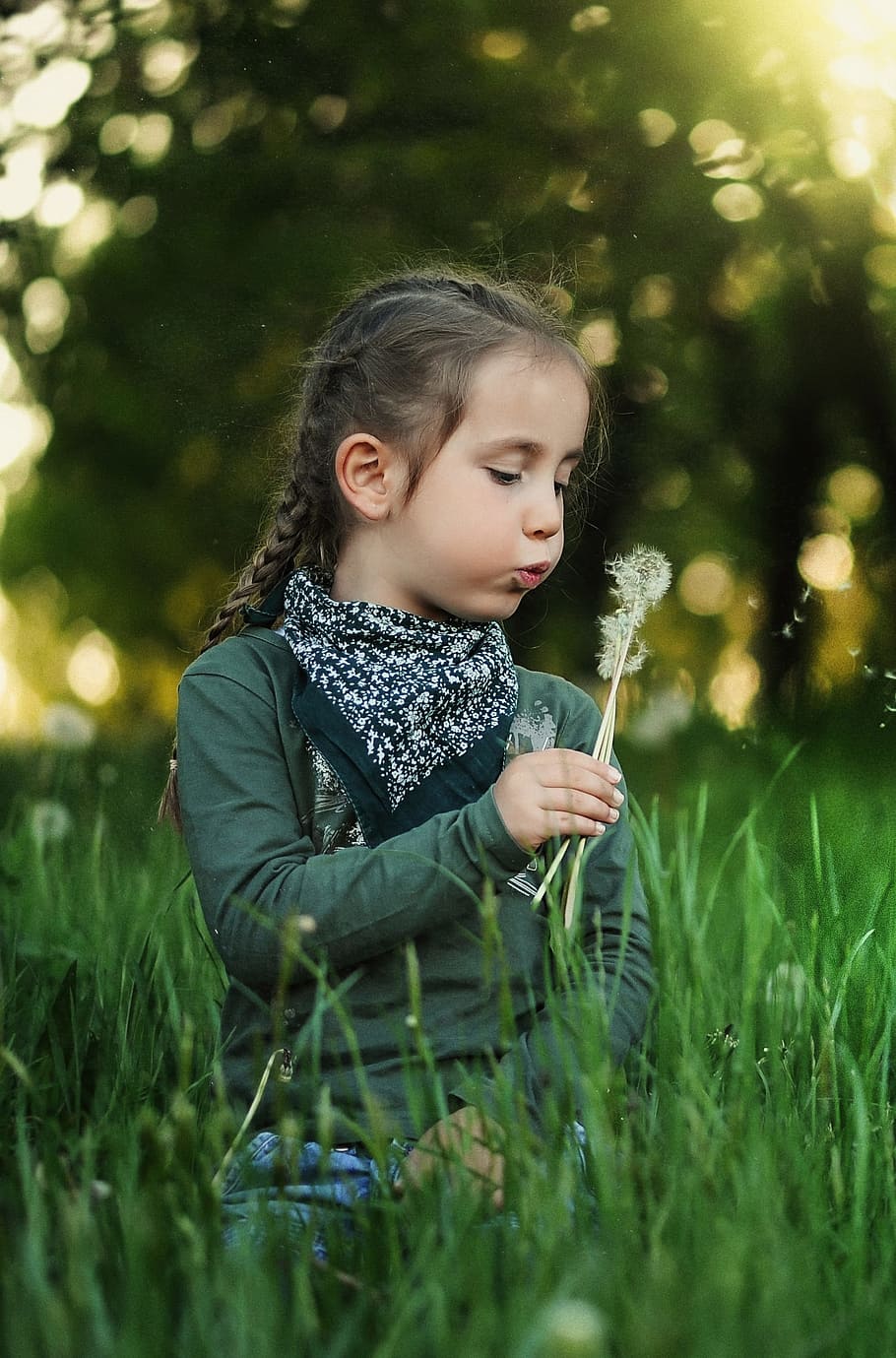 girl wearing green crew-neck long-sleeved shirt, child, dandelion, HD wallpaper
