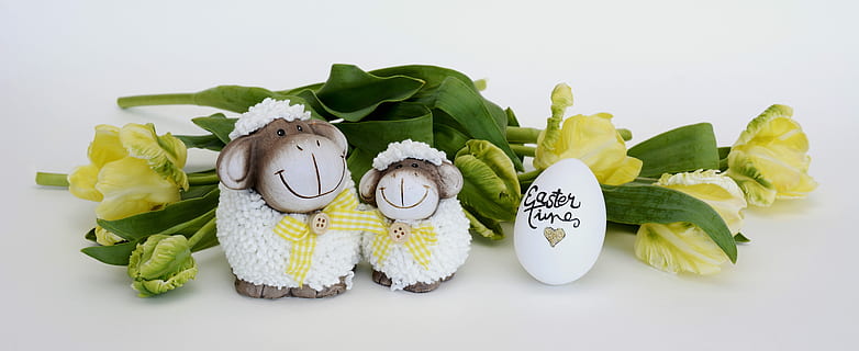 two white sheep party favors, easter, easter egg, decoration HD wallpaper