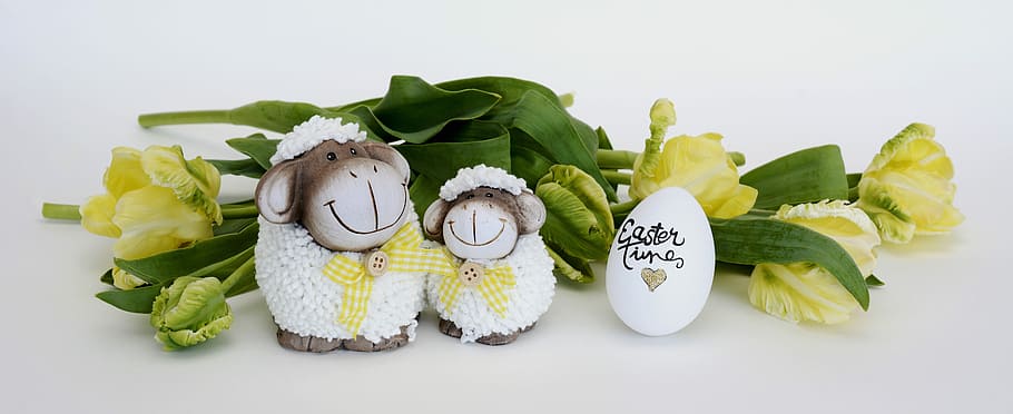two white sheep party favors, easter, easter egg, decoration HD wallpaper