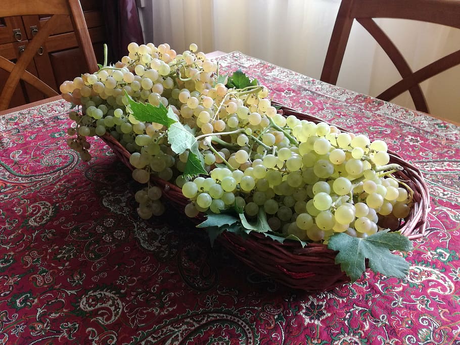 trash, grapes, fruit, tray, leaves, bunch, acini, indoors, no people HD wallpaper