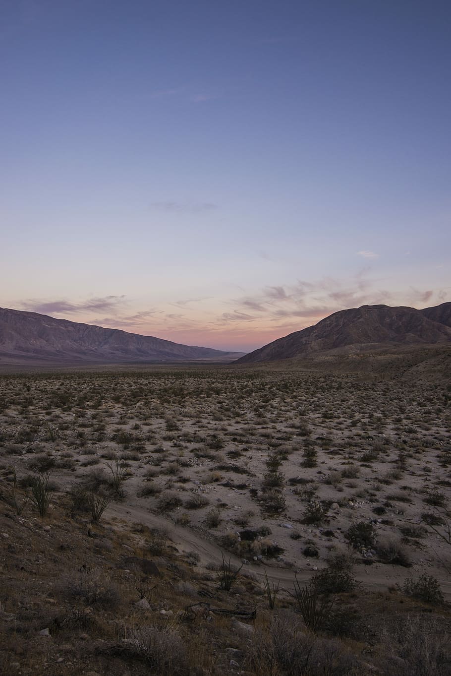 photo of barren land during golden hour, green leaf plants near mountain under white clouds at daytime HD wallpaper