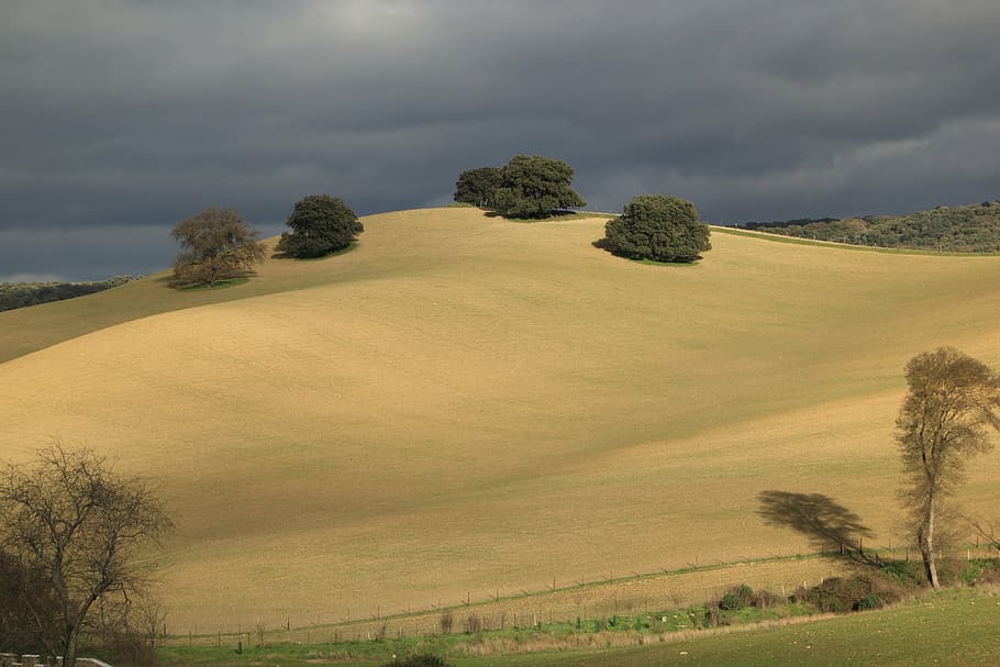 spain, hills, landscape, tree, plant, grass, environment, tranquil scene HD wallpaper