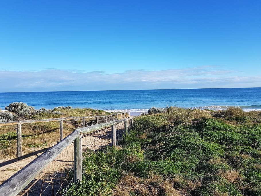beach, ocean, blue, sky, sea, water, horizon over water, plant HD wallpaper
