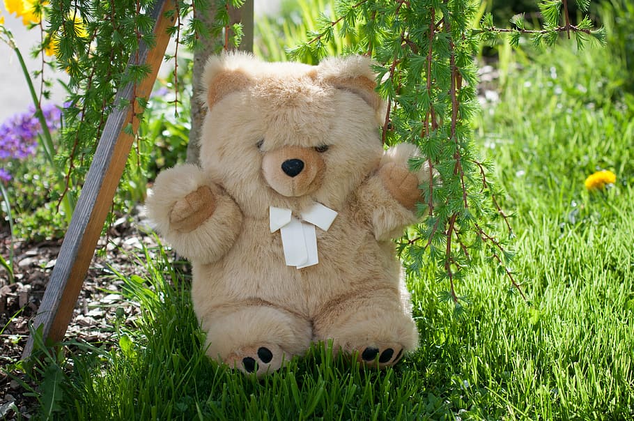 soft toy, furry teddy bear, cuddly, garden, nature, out, cute, HD wallpaper