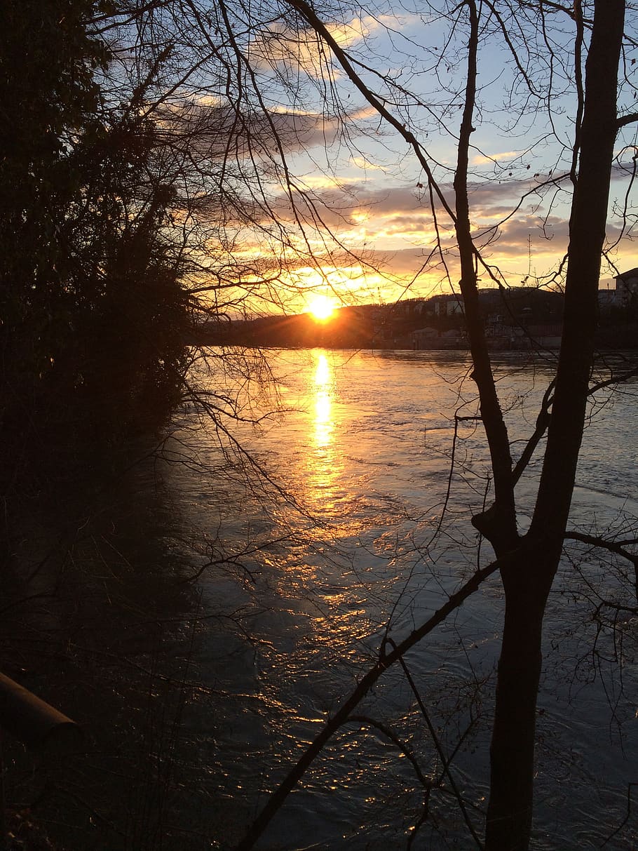 abendstimmung, river, water, sunset, sky, tree, tranquility HD wallpaper