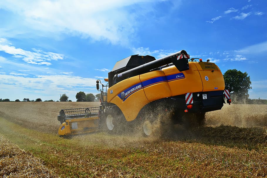harvester, wheat, sky, combine harvester, field, machinery HD wallpaper
