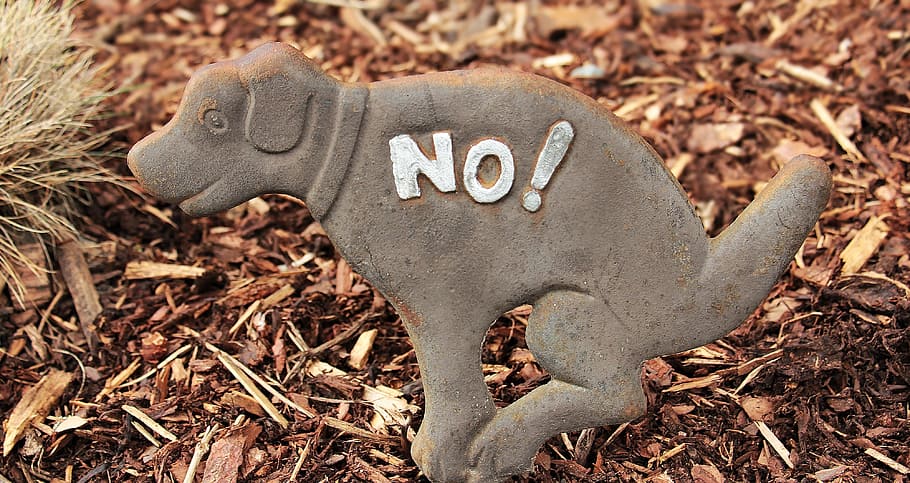 gray dog statuette in top of wood chips at daytime, note, sign