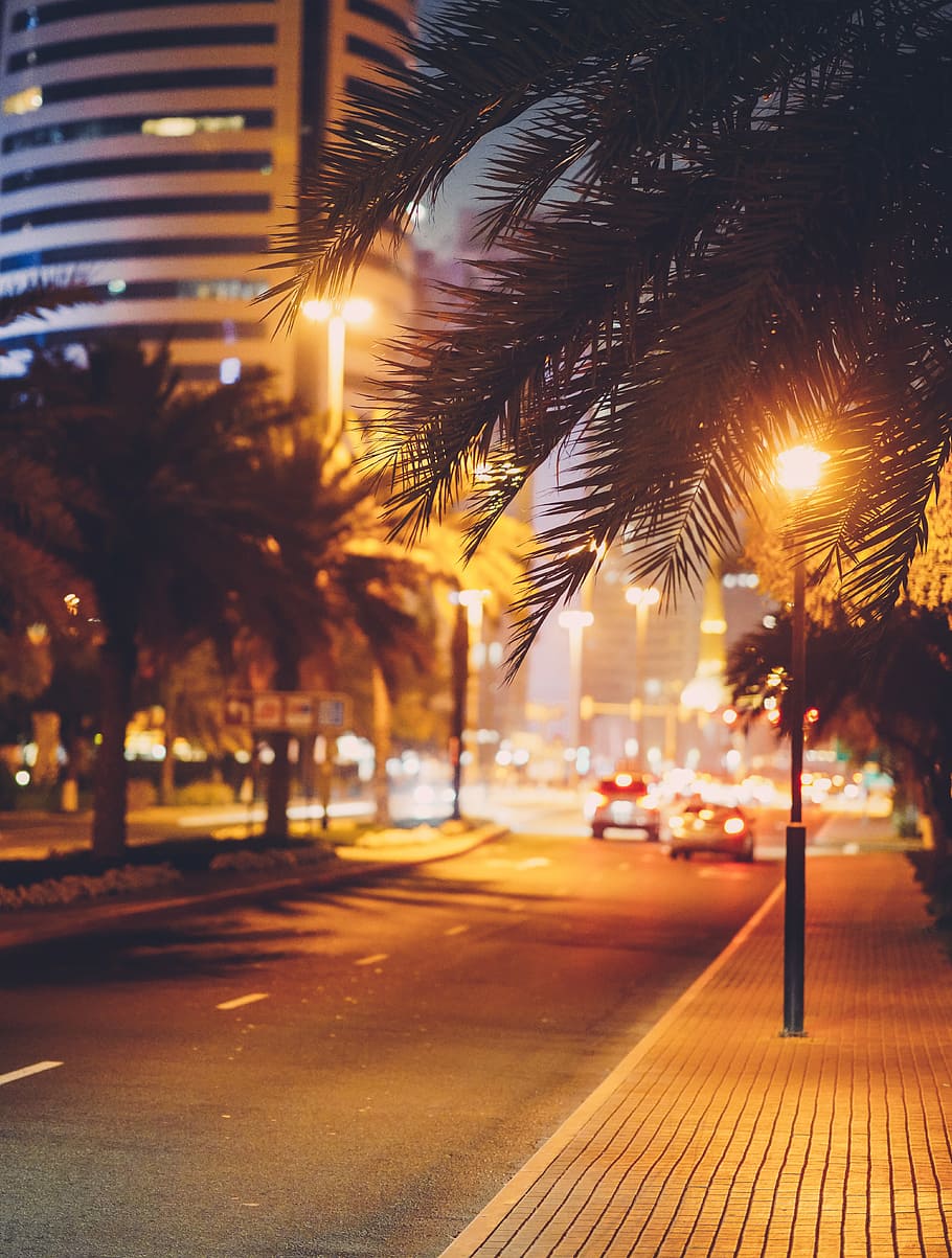 brown street light post, person on city street taking photo of black lamp post HD wallpaper