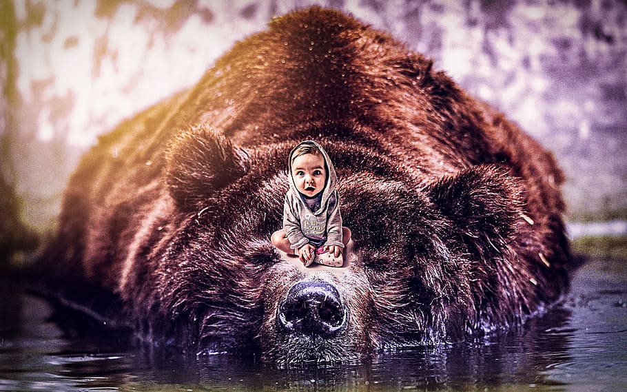 HD wallpaper: baby and the bear, photoshop manipulation, color grading,  animal wildlife | Wallpaper Flare