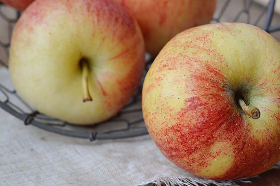 apple, bio apple, fruit, healthy, food, frisch, eat, nutrition HD wallpaper