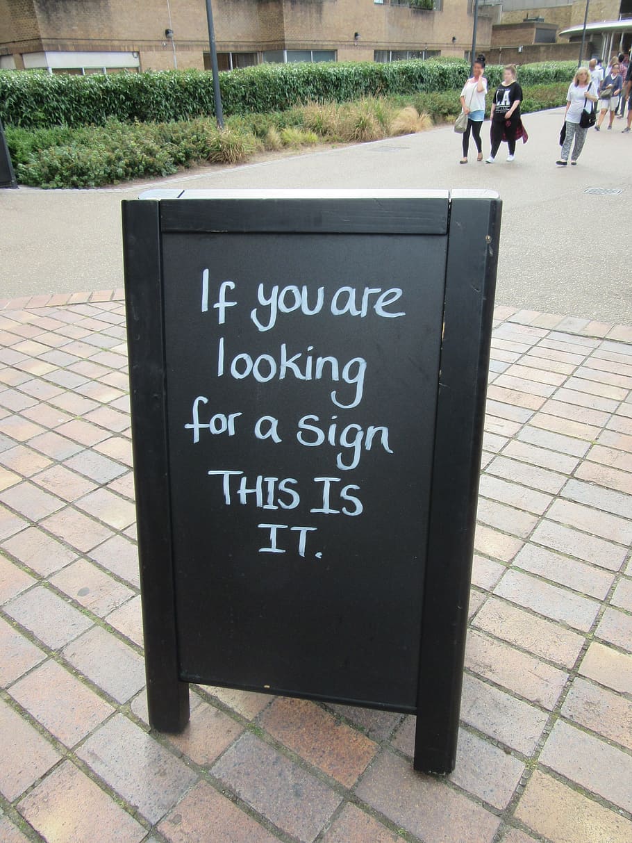 Panel, Sign, Chalk, Sentence, Text, humor, london, day, outdoors HD wallpaper