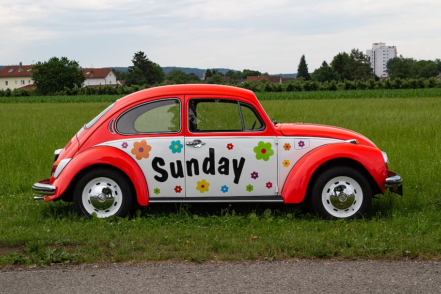 vw, beetle, volkswagen, oldtimer, vw beetle, auto, classic HD wallpaper