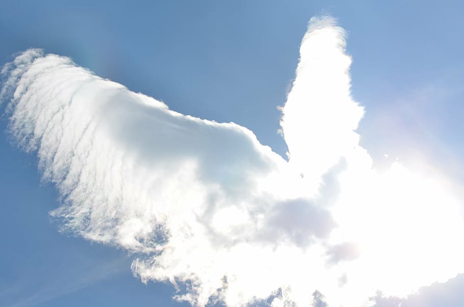 wing cloud form photography, bird, sky, clouds, nature, backgrounds HD wallpaper