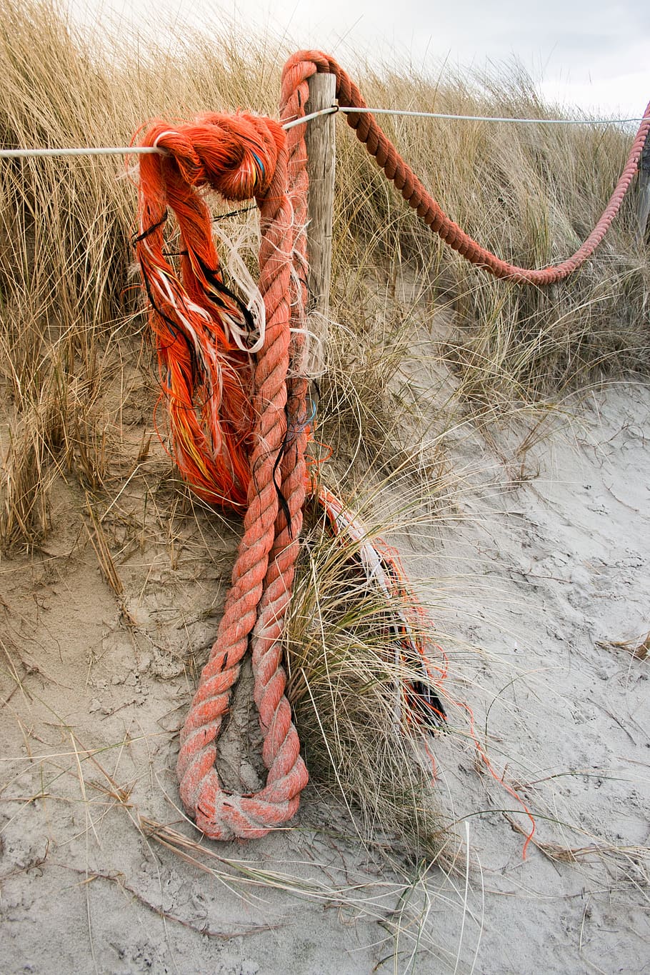 dew, nature, knot, rope, no people, fishing net, day, strength HD wallpaper