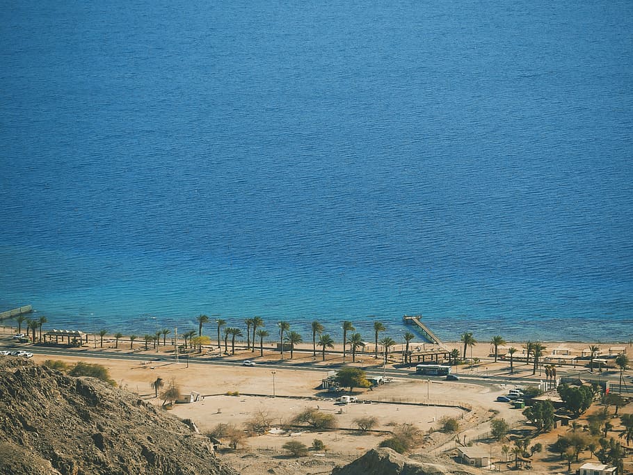 landscape photography of beach, aerial photography of trees beside water HD wallpaper