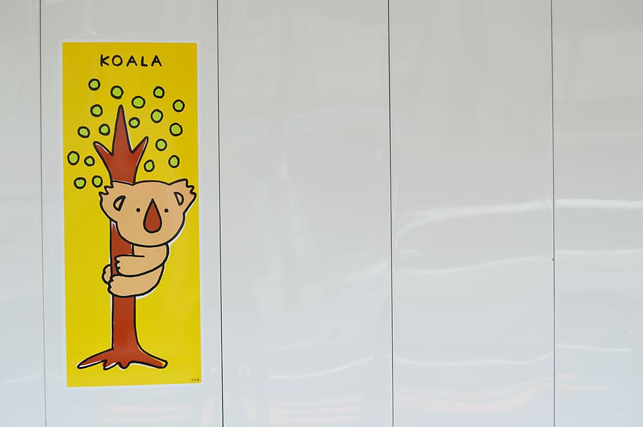 koala, wall, sticker, stiker, drawing, yellow, cartoon, communication HD wallpaper