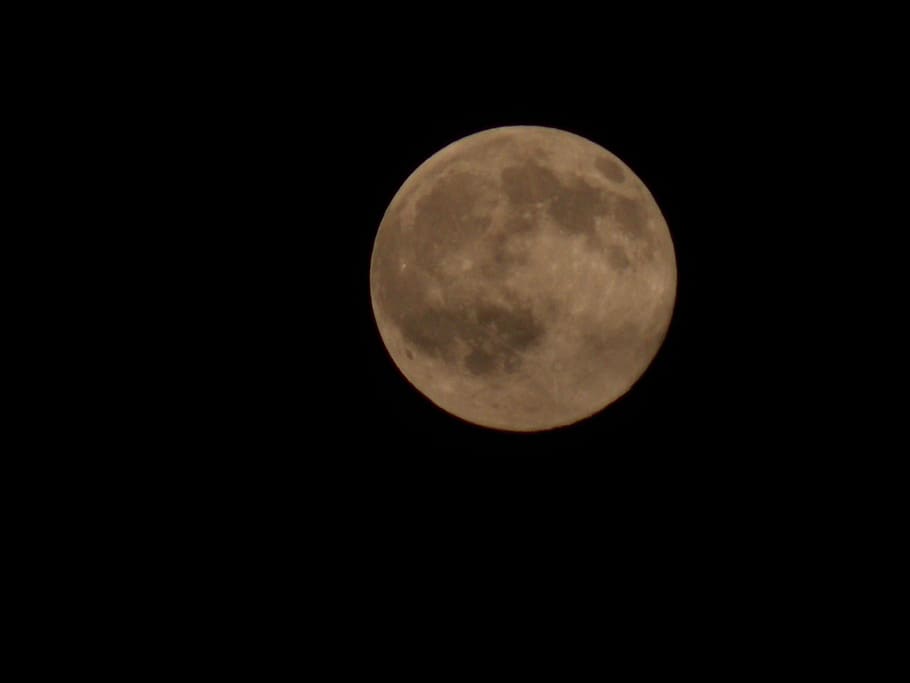 moon, full moon, night, sky, space, astronomy, planetary moon HD wallpaper
