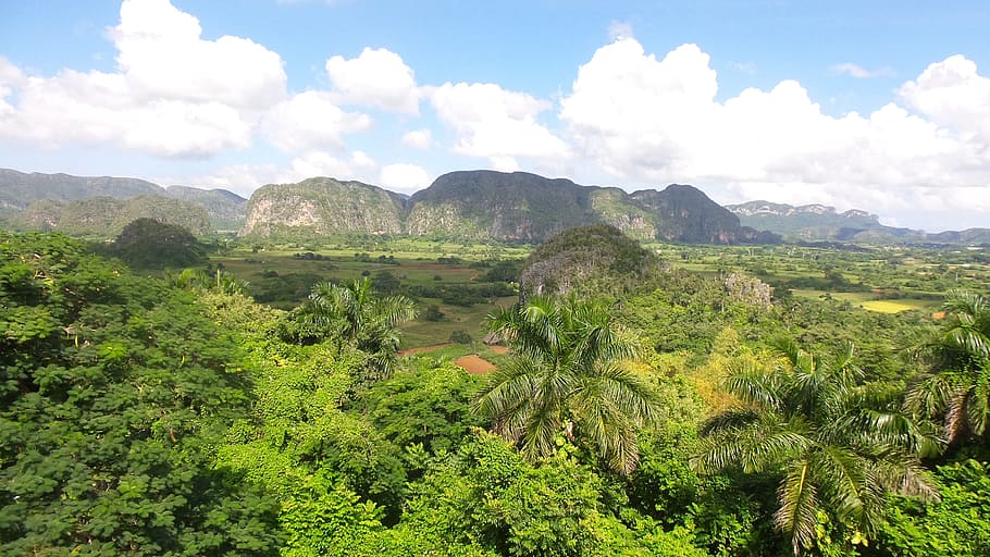 green mountain on grass field, Cuba, Forest, Mountain, Vedado HD wallpaper