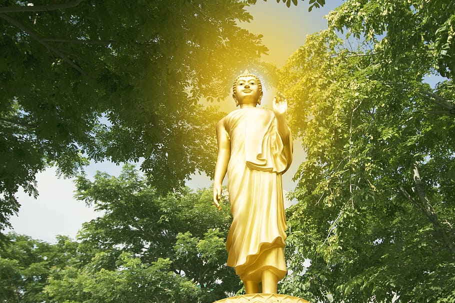 Buddha, Isolated, Gold, White, golden, statue, thailand, background, HD wallpaper