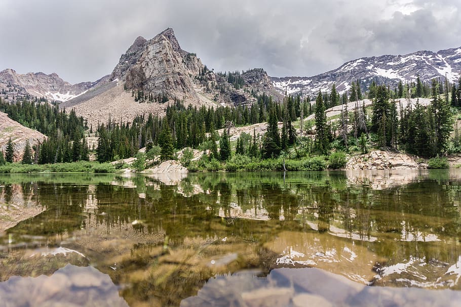 lake across forest, calm body of water surrounded with pine trees and alps mountains HD wallpaper