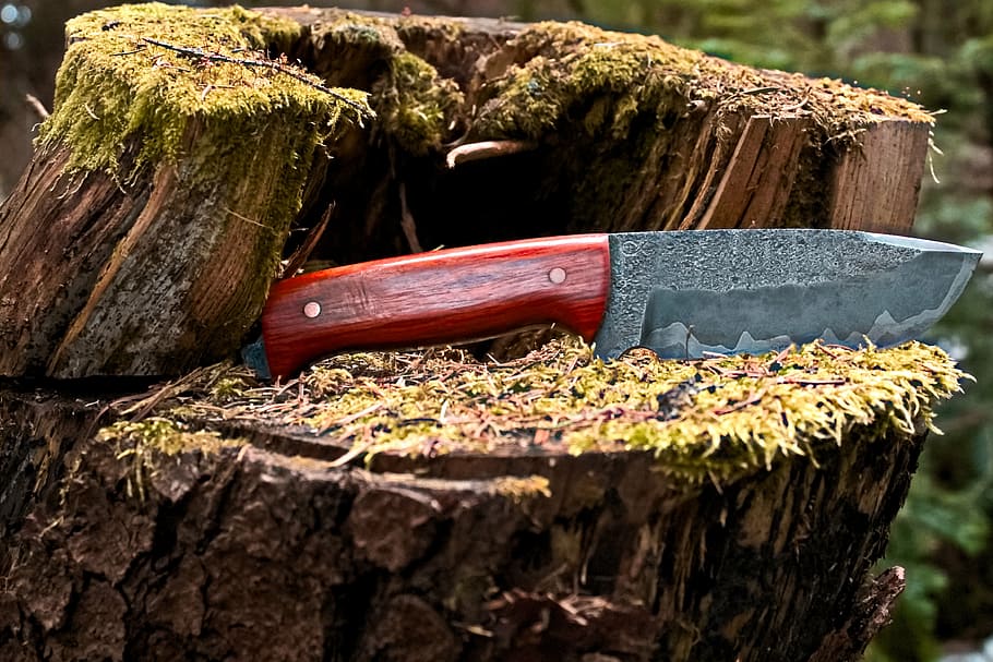 forest, knife, tree trunk, wood - material, tree stump, bark HD wallpaper