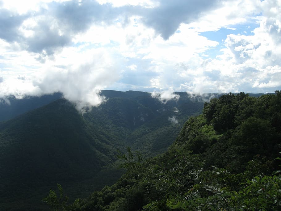 caesar's head, low clouds, mountains, fall, landscape, evergreen HD wallpaper