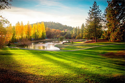 green field with lake, park, trees, grass, autumn, fountain HD wallpaper