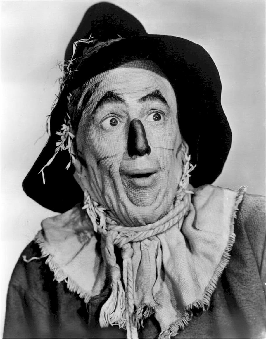 man wearing clown costume grayscale photo, the wizard of oz, ray bolger, HD wallpaper