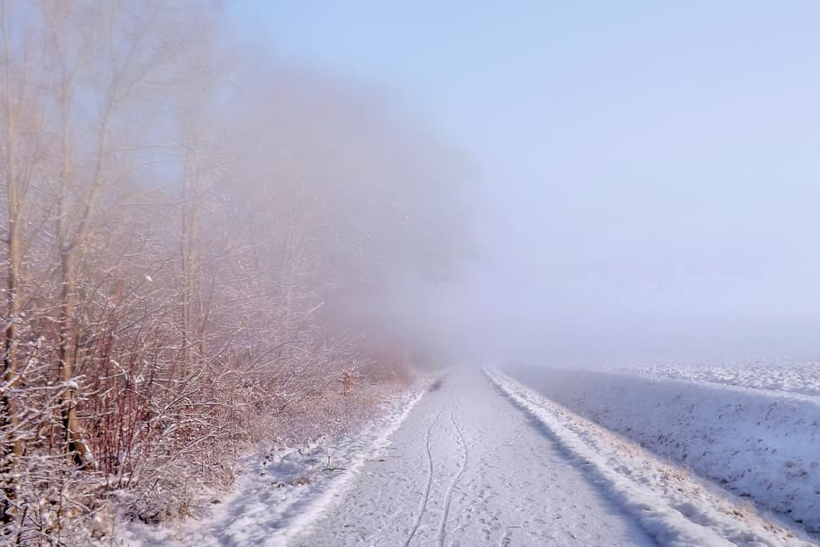 Fog, Winter, Impressions, Wintry, Snow, winter impressions HD wallpaper
