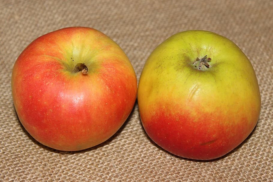 Red Apple, Fruit, Vitamins, autumn, food and drink, healthy eating HD wallpaper