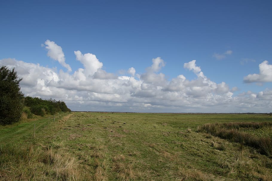 landscape, clouds, blue, sky, natural, sol, blue sky, denmark HD wallpaper