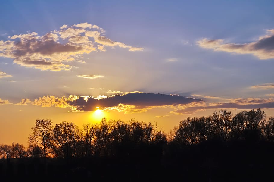 Evening, Sunset, Gold, Landscape, sky, nature, silhouette, scenics HD wallpaper