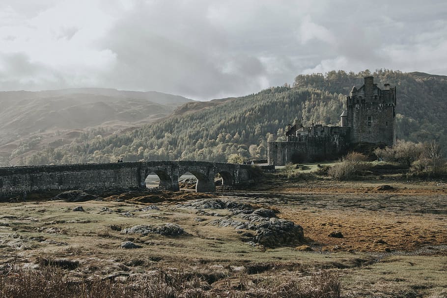 gray castle near trees, nature, landscape, bridge, infrastructure HD wallpaper