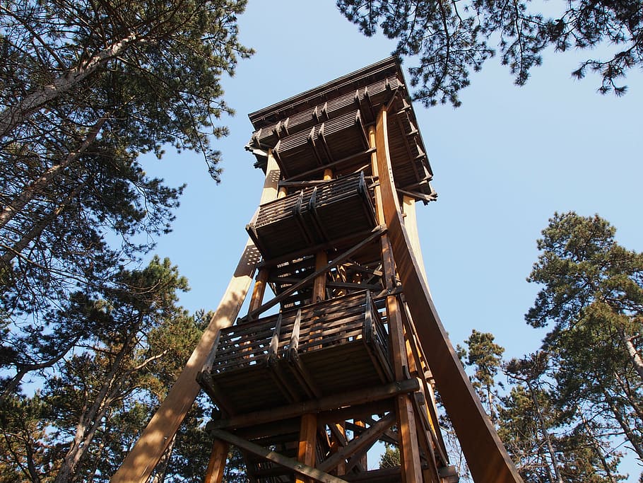 tower, observation tower, architecture, high, building, tree HD wallpaper