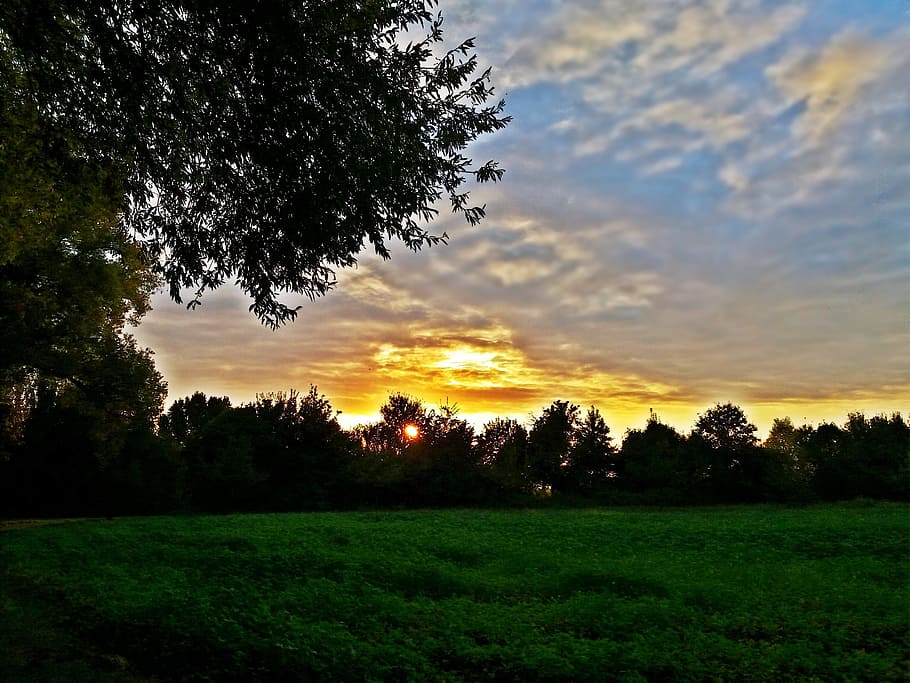 field, west, the sun, sunset, village, landscape, nature, sky HD wallpaper