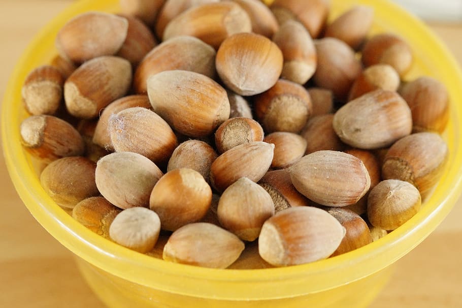 nuts, hazelnuts, many, mass, quantitative, food, brown, tasty HD wallpaper