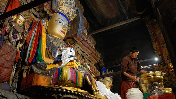tibet, monastery, buddha, temple, cultures, religion, asia HD wallpaper