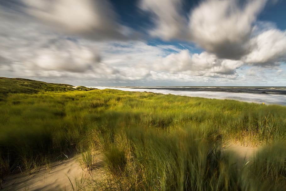 grass field near body of water, dune, sea, clouds, wind, north sea HD wallpaper