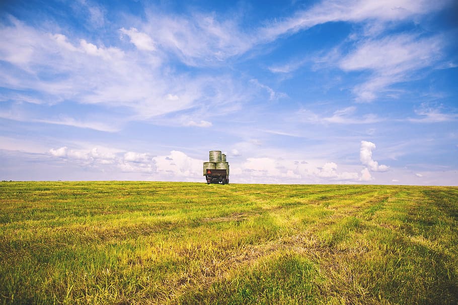 clouds, countryside, field, grass, grassland, landscape, meadow HD wallpaper