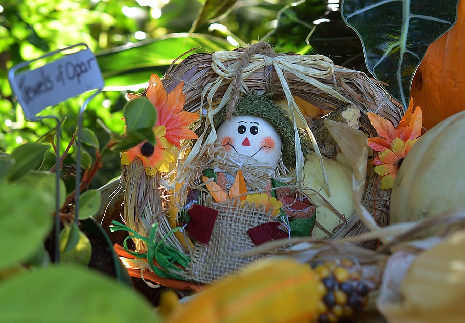scarecrow, doll, fall, autumn, harvest, october, hat, thanksgiving HD wallpaper
