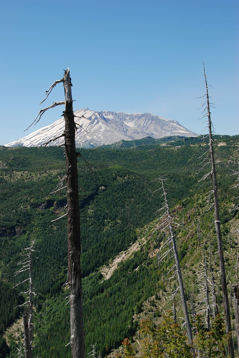 volcano, eruption, mount saint helens, bald, destruction, renewal, HD wallpaper