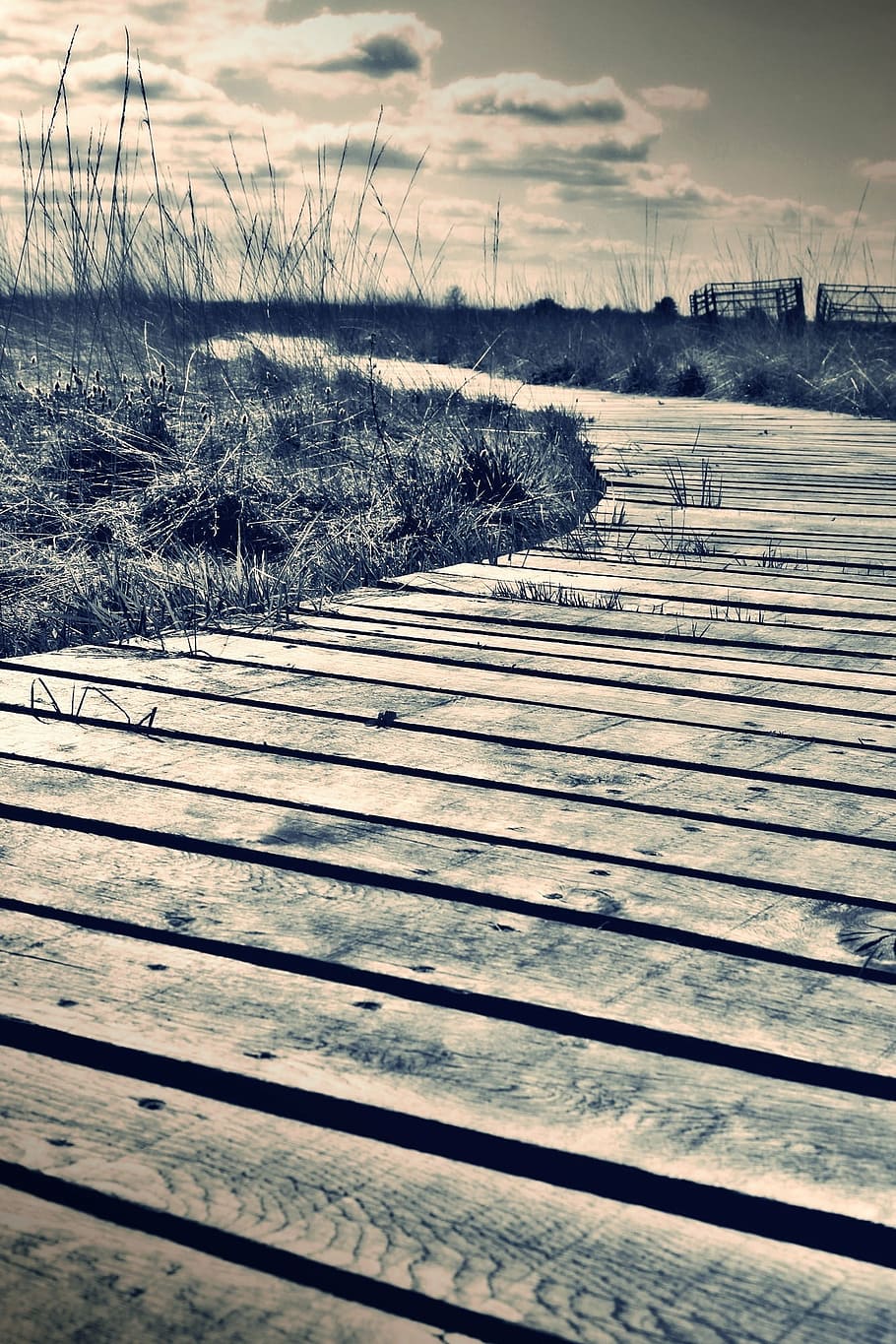 filtered photography of wooden dock overlooking grassy fieldds
