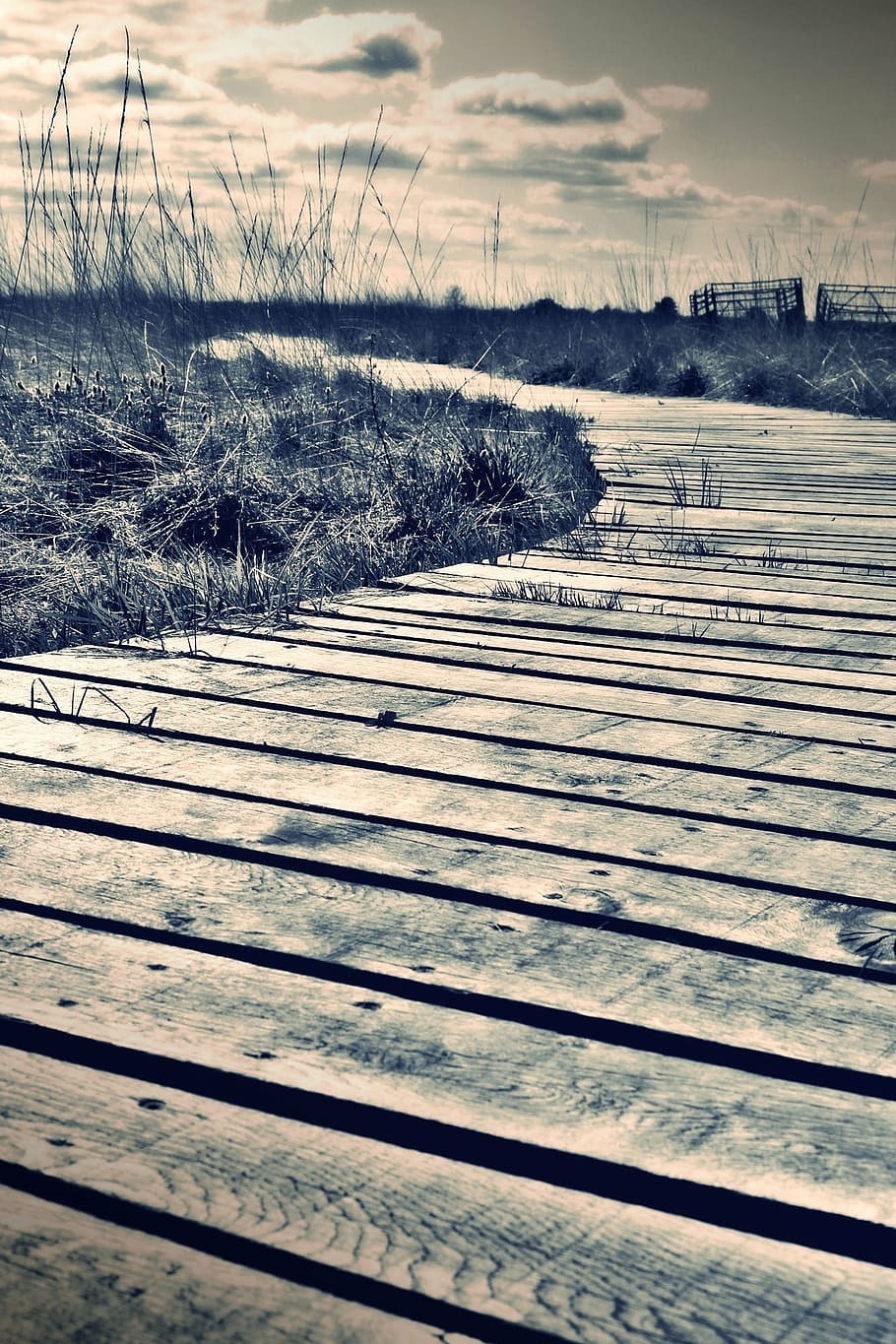 filtered photography of wooden dock overlooking grassy fieldds HD wallpaper
