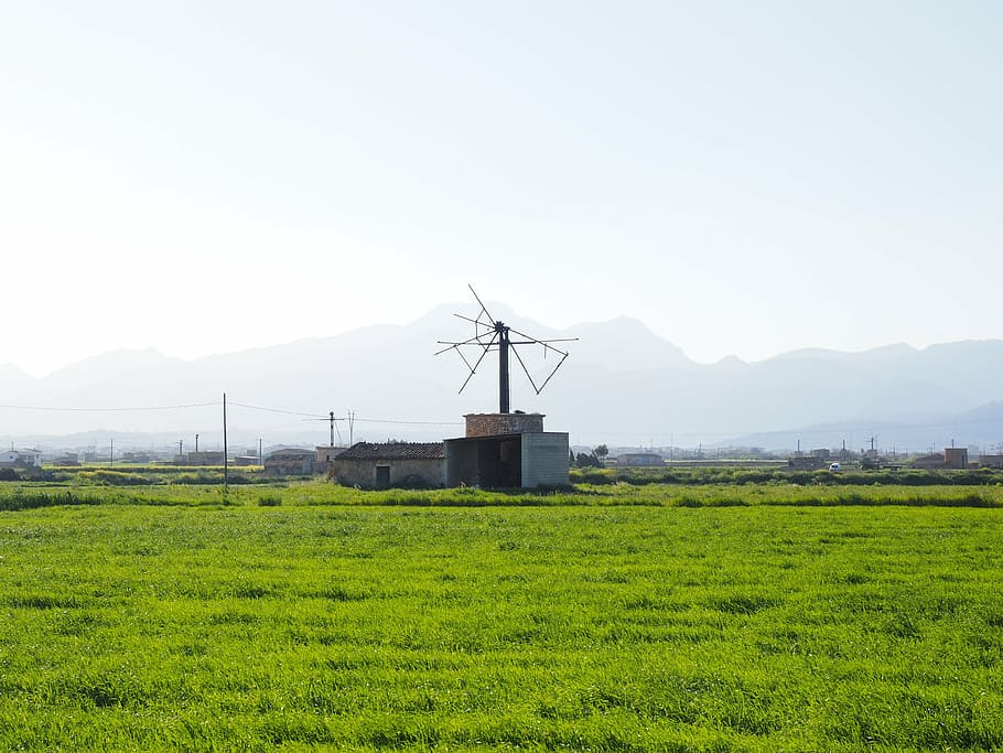 windmill, old, lapsed, ruin, mallorca, muro, wind energy, wing HD wallpaper