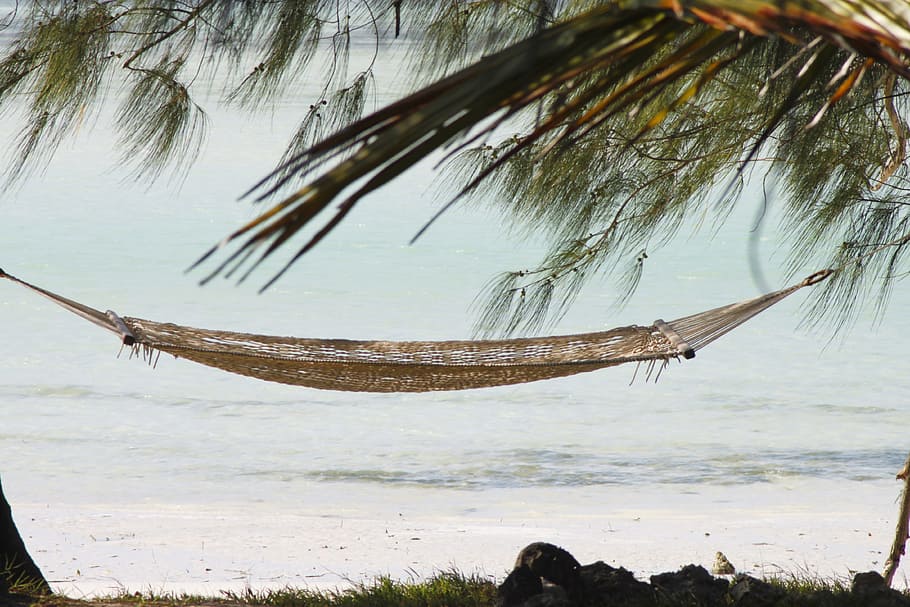 brown hammock between shore trees, zanzibar, holiday, sand beach, HD wallpaper