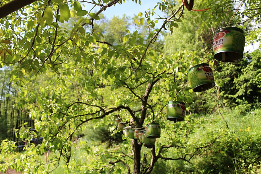 still life, cans, tree, plant, lighting equipment, green color HD wallpaper